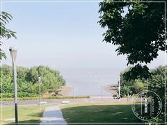 -深圳湾公园(南山区)