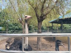 -龙口动植物园