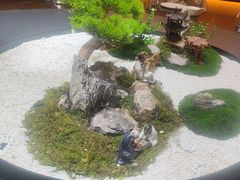 -曼格纳·曼芯馆(杨浦店)