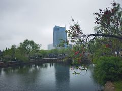 -无锡蠡湖国家湿地公园-蠡园