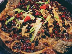 -老板恋上鱼(恒隆广场店)