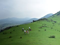 -大姆山草场