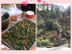 -铁山坪森林公园