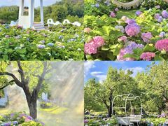 -名花谷生态庄园