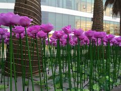 -棕榈MALL