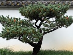 -无锡梅园公园