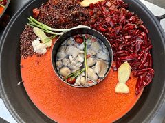 -捞锅坝子老火锅(汽博中心店)