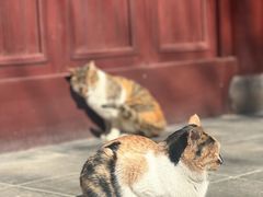 -西园戒幢律寺