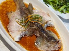 -阿英煲(凉城路店)