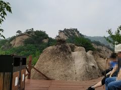 -大岭沟猕猴桃谷风景区
