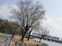 -蠡湖大桥公园