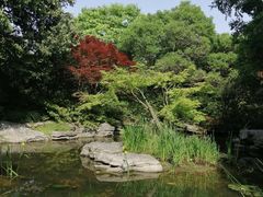 -上海滨江森林公园