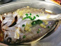 -石岐乳鸽村(南海第三分店)