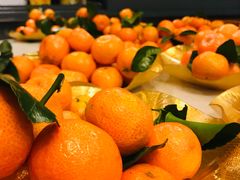 -禧福楼·十五年老店(科技城店)