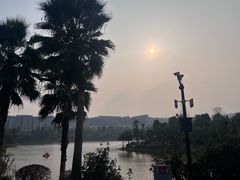 -枫香湖儿童公园