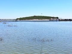 -南大港湿地风景区