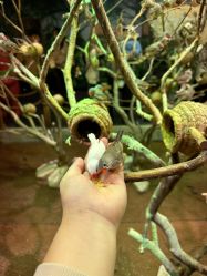 -Zoolung Zoolung动物主题公园(海信广场店)