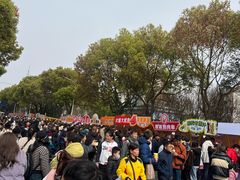 -高东镇樱花园