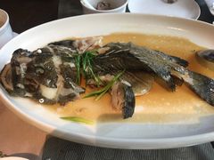 -采悦轩中餐厅·粤菜·海南菜(神州半岛喜来登度假酒店)