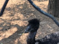 -长白岛森林公园