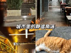 -CHURCH  BISTRO 教堂·餐吧