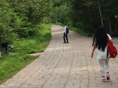 -五营红松林海景区