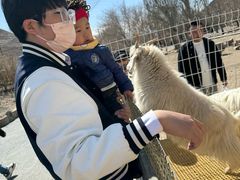 -新疆天山野生动物园