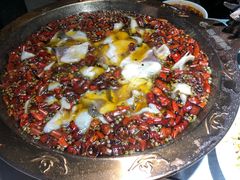 -雲蜀龙阁·金牌水煮鱼(方庄店)