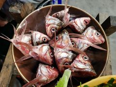 鲮鱼头-章记正宗南岗鱼蛋火锅