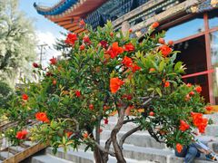 -西宁市东关清真大寺