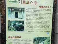 -广州市帽峰山景区