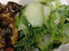 -同济大学-北苑食堂