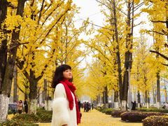 -百林公园-两江幸福广场