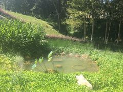 -韶关经律论国际酒店温泉