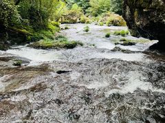 -龙苍沟森林公园