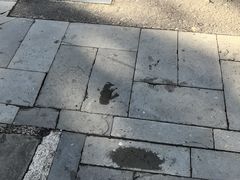 -普陀宗乘之庙(小布达拉宫)