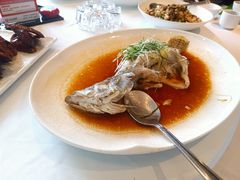 -侨美·唐荔园·40年地道粤菜