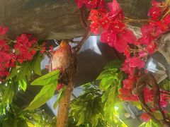 -草原塞蛮羊火锅城(港湾店)