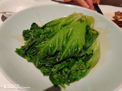-十六台·经典广东菜(德外大街店)