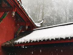 -青城山