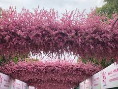 -南汇桃花村