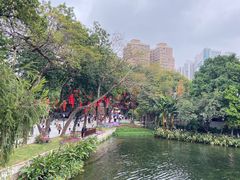 -荔湾湖公园
