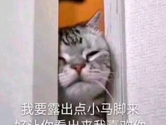 -凯德广场(埃德蒙顿路店)