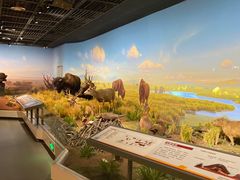 -陕西自然博物馆