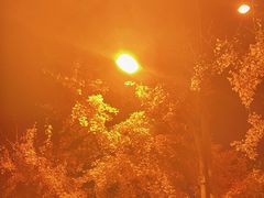 -鑫龙火锅城(青岛分店)