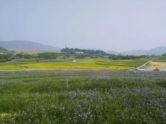 -光明小镇欢乐田园