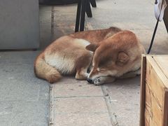 -隹木咖啡馆(宝龙广场店)