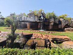 -海南热带野生动植物园