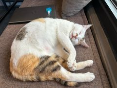 -转山咖啡(松柏社区店)