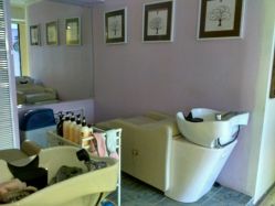 -菩叶头皮抗衰养发护发